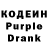 Кодеиновый сироп Lean Purple Drank Gabriela Montfort