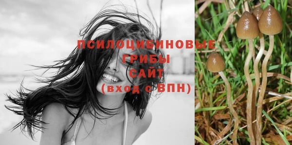 эйфоретик Алзамай