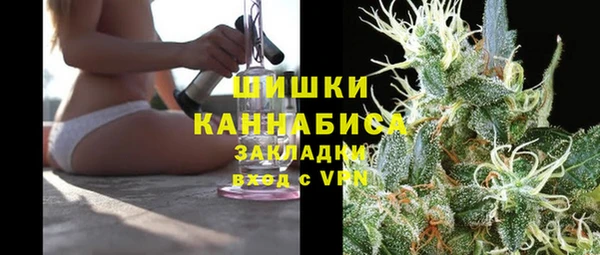 индика Саяногорск